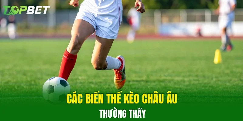 Các biến thể kèo châu Âu thường thấy