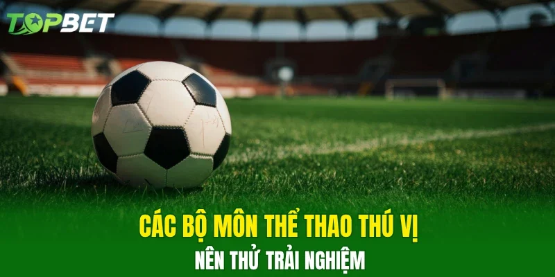 Các bộ môn thể thao thú vị nên thử trải nghiệm