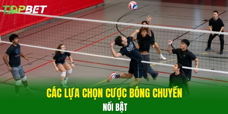 Các lựa chọn cược bóng chuyền nổi bật