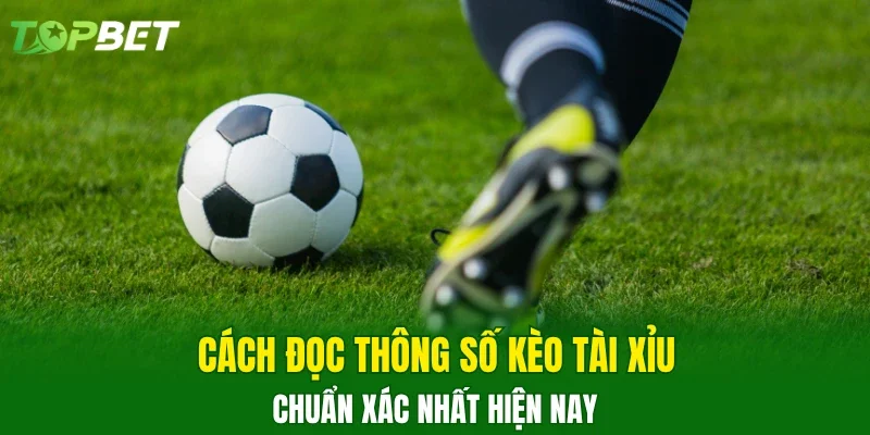 Cách đọc thông số kèo tài xỉu chuẩn xác nhất hiện nay 