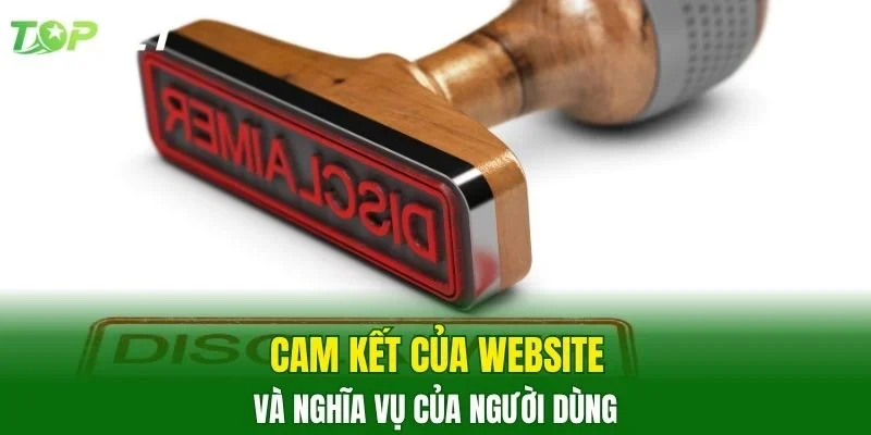 Cam kết của website và nghĩa vụ của người dùng