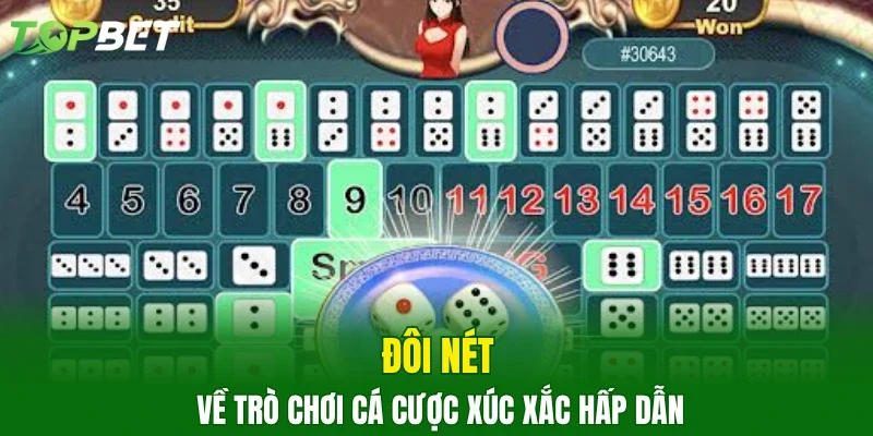 Đôi nét về trò chơi cá cược xúc xắc hấp dẫn
