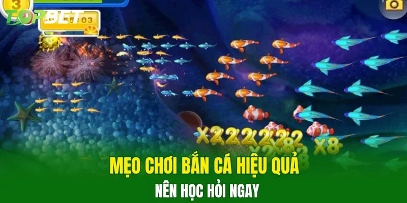 Mẹo chơi bắn cá hiệu quả nên học hỏi ngay