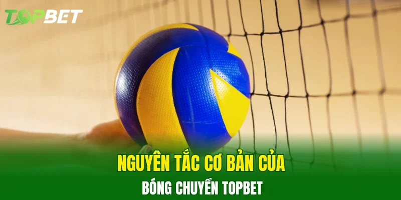 Nguyên tắc cơ bản của bóng chuyền TOPBET