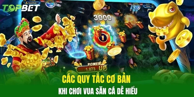 Các quy tắc cơ bản khi chơi vua săn cá dễ hiểu