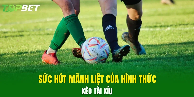 Sức hút mãnh liệt của hình thức kèo tài xỉu 